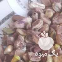 فروش مغز پسته رفسنحان تازه امسالی در تهران در گروه آجیل - فروش عمده محصولات در یکمیوه