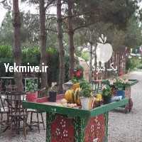 فروش قارچ خوراکی  در اردبیل در گروه خرید فروش عمده قارچ - دکمه ای خوراکی دارویی پرورشی کوهی در یکمیوه