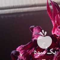 فروش چای ترش آویشن گل پنیرک وآلو در تهران در گروه خرید فروش عمده گیاهان زینتی - گرمسیری آپارتمانی باغچه آب در یکمیوه