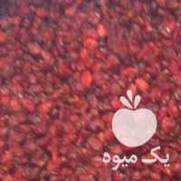 فروش زرشک دانه اناره امسالی در مشهد در گروه خرید فروش عمده ازگیل و تمشک و زرشک - ژاپنی فروش مستقیم در یکمیوه