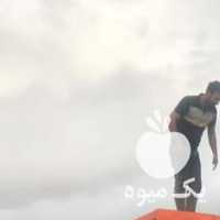 فروش کود گاوگاوی ،  مرغ مرغی ، گوسفندی  ،  اوره در شیراز در گروه خرید فروش کود و مواد شیمیایی - اوره پتاس مرغی کمپوست آهن در یکمیوه