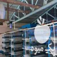 فروش قفس مرغ تخم گذار طرح منبری در حد نو در آبعلی در گروه مرغ و خروس و بوقلمون و اردک قو قاز در یکمیوه