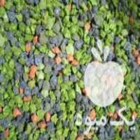 فروش بذر خارجی چغندر در شیروان در گروه خرید فروش بذر - انواع محصول کشاورزی گوجه کتان میوه درخت در یکمیوه