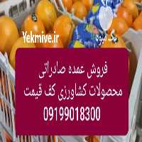 فروش عمده پرتقال و سیب  صادراتی کیفیت بالا کف قیمت در تهران در گروه خرید فروش عمده سیب - زرد و قرمز گلاب پاییزه در یکمیوه