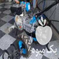 فروش موتور شخم زن دستی گازویلی در سردشت در گروه خرید فروش ابزار ها و تجهیزات کشاورزی - دستی برقی ماشینی بیل کلنگ در یکمیوه