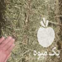 فروش یونجه جو گندم کاه  سیب زمینی در انار در گروه خرید فروش عمده سیب زمینی - زودرس دیررس آگریا اسپریت اردبیل همدان در یکمیوه