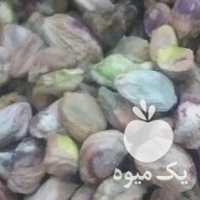 فروش مغز پسته در سیرجان در گروه پسته - کوهی شامی خام اکبری تازه کله قوچی در یکمیوه