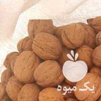 فروش زرشک وگردو در بیرجند در گروه خرید فروش عمده ازگیل و تمشک و زرشک - ژاپنی فروش مستقیم در یکمیوه