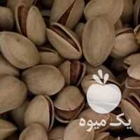 فروش پسته احمدآقایی در یزد در گروه آجیل - فروش عمده محصولات در یکمیوه