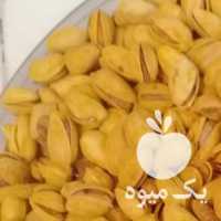 فروش پسته اجیلی در یزد در گروه آجیل - فروش عمده محصولات در یکمیوه