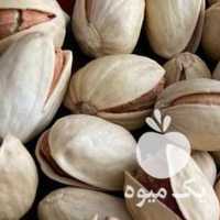 فروش پسته اکبری ،  فندقی صادراتی در قزوین در گروه پسته - کوهی شامی خام اکبری تازه کله قوچی در یکمیوه