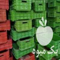 فروش سبد دسته دار مناسب پرورش میلورم در اصفهان در گروه خرید فروش انواع سبد - میوه پلاستیکی چوبی گل در یکمیوه