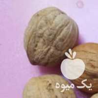 فروش آجیل ،  انواع گردو ،  بادام ،  پسته ،  زرد آلو در تهران در گروه آجیل - فروش عمده محصولات در یکمیوه