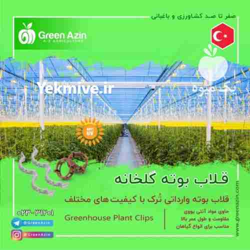 قیمت و خرید قلاب نگهدارنده بوته با کیفیت در سمنان در گروه خرید فروش عمده انواع گل - پروش قاشقی موسی ساکولنت بن سای در یکمیوه -عکس1