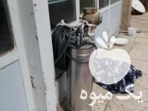 فروش کفکش دو اینچ در بروجرد در گروه خرید فروش ابزار ها و تجهیزات کشاورزی - دستی برقی ماشینی بیل کلنگ در یکمیوه -عکس1