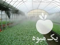 فروش دستگاه مه ساز گلخانه در تبریز در گروه خرید فروش تجهیزات گلخانه - صنعتی خانگی هوشمند دست دوم در یکمیوه -عکس1