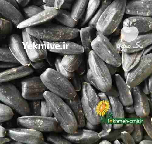 فروش تخمه امیر ، ارسال عمده تخمه آفتابگردان وتخمه کدو در تهران در گروه خرید فروش عمده آفتابگردان - تخمه خوی دیم گل در یکمیوه -عکس1
