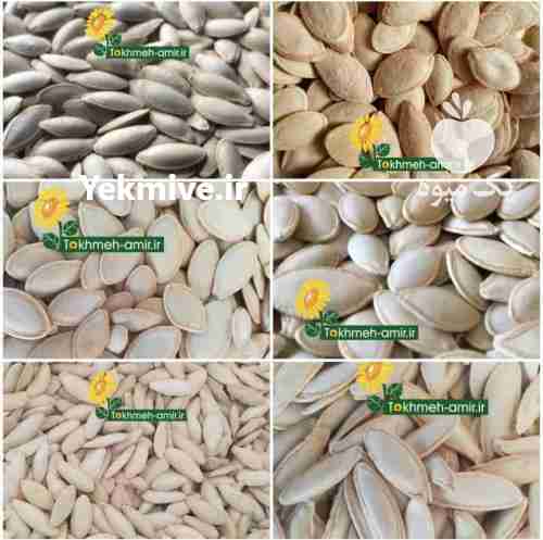 فروش صادرات تخمه آفتابگردان و تخمه کدو ، تخمه امیر در تهران در گروه خرید فروش عمده آفتابگردان - تخمه خوی دیم گل در یکمیوه -عکس1