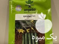 فروش بذرخیارگلخانه ای و فضای باز در اهواز در گروه خرید فروش بذر - انواع محصول کشاورزی گوجه کتان میوه درخت در یکمیوه -عکس1