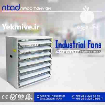 فروش فن 140 بیگرزمن مرغداری  گلخانه در قزوین در گروه خرید فروش عمده انواع گل - پروش قاشقی موسی ساکولنت بن سای در یکمیوه -عکس1