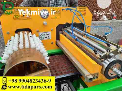 فروش دستگاه کاشت بذر در سینی نشا سیدر تیداپارس در کرج در گروه خرید فروش نشا - انواع گوجه برنج کاهو پیاز کاری فرنگی در یکمیوه -عکس1