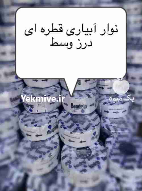 فروش انواع نوار تیپ در تهران در گروه خرید و فروش عمده انواع محصولات کشاورزی و دامداری در یکمیوه -عکس1