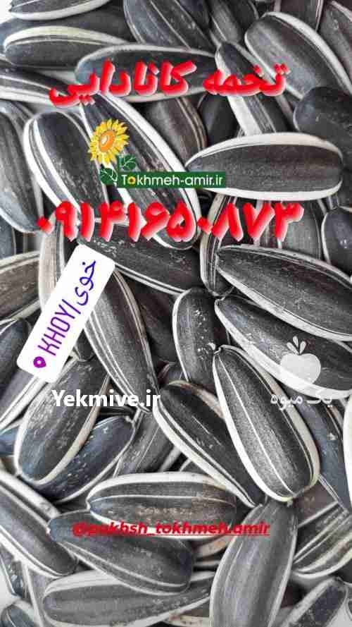 فروش انواع تخمه امیر در تهران در گروه آجیل - فروش عمده محصولات در یکمیوه -عکس1