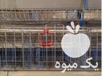 فروش قفس مرغ تخمگذار در اصفهان در گروه تجهیزات دام و طیور - خرید فروش نو دسته دوم در یکمیوه -عکس1