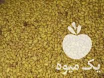 فروش بذر یونجه در تبریز در گروه خرید فروش بذر - انواع محصول کشاورزی گوجه کتان میوه درخت در یکمیوه -عکس1