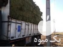 فروش کاه گندم وبیده در زرند در گروه خوراک دام و طیور - پرواری شیری علوفه یونجه در یکمیوه -عکس1