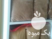 فروش قارچ گانودرما   در تهران در گروه خرید فروش عمده قارچ - دکمه ای خوراکی دارویی پرورشی کوهی در یکمیوه -عکس1