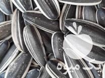 فروش عمده بذر مرغوب تخمه ، تخمه امیر در شیراز در گروه خرید فروش عمده آفتابگردان - تخمه خوی دیم گل در یکمیوه -عکس1