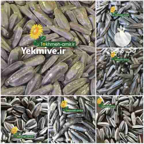 فروش پخش انواع بذر تخمه آفتابگردان و بذر تخمه کدو در تهران در گروه خرید فروش عمده آفتابگردان - تخمه خوی دیم گل در یکمیوه -عکس1