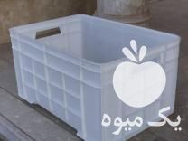 فروش سبد 40 کیلویی ماهی در قشم در گروه خرید و فروش انواع سبد در یکمیوه -عکس1