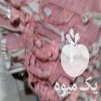 فروش کیسه برنج پاکستانی طبیعت در کرمانشاه در گروه خرید فروش عمده برنج - نیم دانه عنبر بو هاشمی کاظمی هندی پاکستانی در یکمیوه