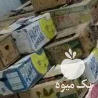 فروش 20 تن خرما کبکاب در بوشهر در گروه خرید فروش عمده خرما - کبکاب تازه زاهدی خشک خارک در یکمیوه