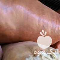 فروش کرک و پشم گوسفند در سیرجان در گروه گاو و گوسفند و میش و بز کهره گوساله سمینتال در یکمیوه