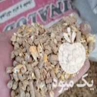 فروش خوراک دام و طیور در مشهد در گروه خرید فروش عمده برنج - نیم دانه عنبر بو هاشمی کاظمی هندی پاکستانی در یکمیوه