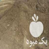 فروش کود حیوانی سوخته و تازه با حمل خاور در اراک در گروه خرید فروش کود و مواد شیمیایی - اوره پتاس مرغی کمپوست آهن در یکمیوه