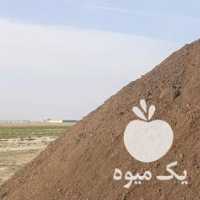 فروش کود گوسفندی خالص در شیراز در گروه خرید فروش کود و مواد شیمیایی - اوره پتاس مرغی کمپوست آهن در یکمیوه