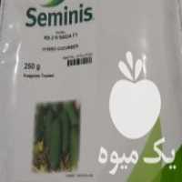 فروش انواع سمپاش برقی ودستی بذز خیارسبز در صفاشهر در گروه خرید فروش ابزار ها و تجهیزات کشاورزی - دستی برقی ماشینی بیل کلنگ در یکمیوه