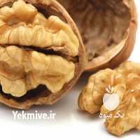 فروش نهال میوه در سمنان در گروه خرید فروش نهال - انواع گردو پسته بادام سلطانی انگور در یکمیوه