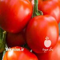 فروش بذر و دانه بذر درختان در سمنان در گروه خرید فروش بذر - انواع محصول کشاورزی گوجه کتان میوه درخت در یکمیوه