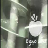 فروش دستگاه فرآوری پنیر پیتزا ماردون خردکردن پنیر اولیه پخت و  در آمل در گروه اسب و الاغ خر و فروش قاطر- ترکمن عربی سفید نر و ماده در یکمیوه