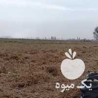 فروش سیب زمینی انزاب بالا در اردبیل در گروه خرید فروش عمده سیب زمینی - زودرس دیررس آگریا اسپریت اردبیل همدان در یکمیوه