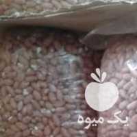 فروش بادام زمینی برشته و قلافدار در پارس اباد در اردبیل در گروه بادام - درختی کوهی زمینی فروش عمده در یکمیوه