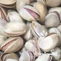 فروش پسته قزوین در گروه پسته - کوهی شامی خام اکبری تازه کله قوچی در یکمیوه