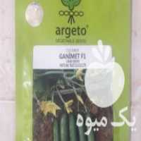 فروش بذر خیار غنیمت آرگتو پاکت 1000 عددی در قائم شهر در گروه خرید فروش بذر - انواع محصول کشاورزی گوجه کتان میوه درخت در یکمیوه