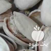 فروش پسته  ،  تخمه کدو  ، گلاب در تهران در گروه خرید فروش عمده آفتابگردان - تخمه خوی دیم گل در یکمیوه