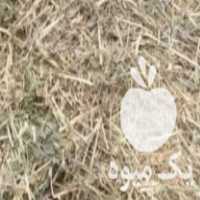 فروش یونجه میاندواب در تبریز در گروه خوراک دام و طیور - پرواری شیری علوفه یونجه در یکمیوه